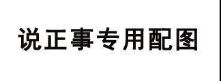 東莞飛羽